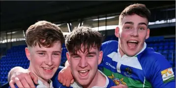  ??  ?? Shane Stokes, P.J. Barnes and Robbie Brooks celebrate Gorey’s victory.