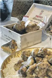  ?? Massimo Vidoni; Roberto’s; Scalini ?? Main, white truffle burrata at Scalini; above, entreprene­ur Massimo Vidoni with the largest white truffle sold in the UAE; right, the seasonal ingredient at Roberto’s