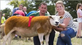  ??  ?? Paddy and Sarah Ryan with the Texel ewe winner.