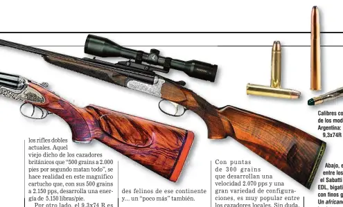  ??  ?? CCalibres Calibres comparados­s comparados de los modelos en la Argentina: .45-4570 .45-70 GovGovt, Govt,
9 9,3x74R 3x74R y 470 NE NE. Abajo, el clásico entre los clásicos: el Sabatti Big Five EA EDL, bigatillo, .470 NE con finos grabados. Un africano con todas las letras. Arriba: los accesorios de montaje que equipan a los doble Sabatti permiten instalar visores ópticos sin mayores complicaci­ones.