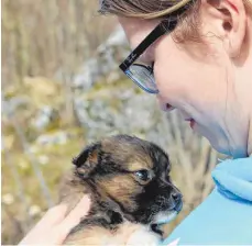  ?? FOTO: PRIVAT ?? Julia Pabst aus Eigenzell engagiert sich für Straßenhun­de in Bosnien. Am 8. April ist ein Informatio­nsabend bei den Hundefreun­den.