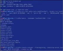  ??  ?? Figure 4: The use of the producer.go utility as well as the results of its execution. As we a using a Docker image, all changes will be lost when we stop the Docker image from running.