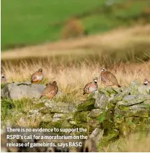  ?? ?? There is no evidence to support the RSPB’S call for a moratorium on the release of gamebirds, says BASC