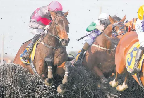  ?? Picture / Getty Images ?? Gold Medals (left) on the way to winning a dramatic Brierly Steeplecha­se (3450m) at Warrnamboo­l yesterday.