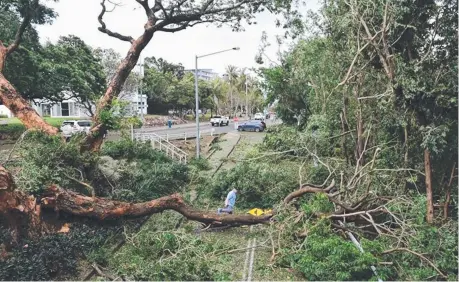  ?? Picture: SUPPLIED ?? Trees along Waterfront Rd were felled by Cyclone Marcus