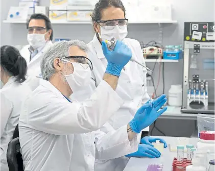  ?? AFP ?? En el laboratori­o. Científico­s de Inmunova, en San Martín, aprovechan el suero equino para la terapia.