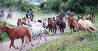  ?? ZOU HONG / CHINA DAILY ?? Tourists herd horses with local guides last month on a trail in Saihanba National Forest Park. The man-made forest, grown out of the desert and known for its ecotourism in Hebei province, shields Beijing and other big cities from sandstorms.