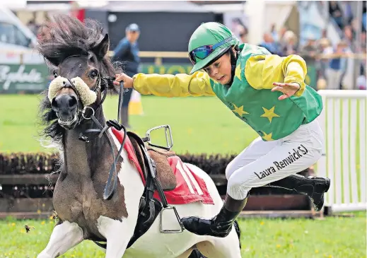  ??  ?? Poppy Dadson, 12, riding Bees Knees, falls at the last fence while competing in The Shetland Pony Grand National at The Game Fair, described in
Tatler as ‘Glastonbur­y for the green welly brigade’, at Hatfield House, Herts, yesterday. And she’s off !