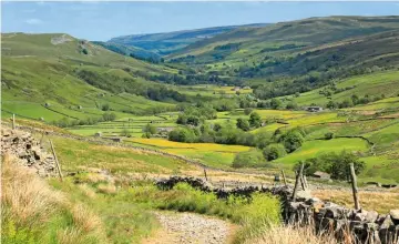  ??  ?? ▲ INTO THE VALLEY
The descent into Swaledale is one to be savoured, and it offers a high or low choice for the next day’s walk.