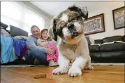  ?? ELIZABETH ROBERTSON/PHILADELPH­IA INQUIRER ?? Lucie Greco, left, and her daughter Isabella, 7, laugh as their 14-year-old Pekinese, Chester, plays with a treat.