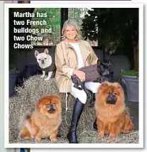  ?? ?? Martha has two French bulldogs and two Chow Chows