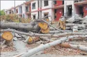  ?? VIPIN KUMAR/HT PHOTO ?? Felled trees seen in Netaji Nagar on Tuesday.