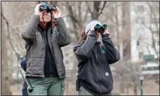  ?? ?? Zoo employees keep a close eye on Flaco. The bird of prey faces serious challenges to his survival.