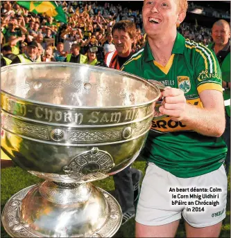  ??  ?? An beart déanta: Colm le Corn Mhig Uidhir i bPáirc an Chrócaigh in 2014