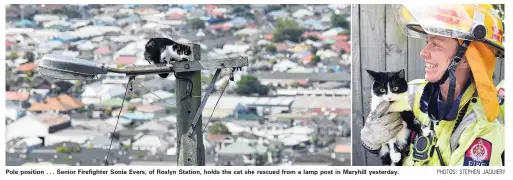  ?? PHOTOS: STEPHEN JAQUIERY ?? Pole position . . . Senior Firefighte­r Sonia Evers, of Roslyn Station, holds the cat she rescued from a lamp post in Maryhill yesterday.