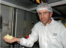  ?? MARY-JO TOHILL/ STUFF ?? Daniel Harr with cheese at the cheddaring stage at Stirling Fonterra.