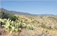  ?? MARE CZINAR/ SPECIAL FOR THE REPUBLIC ?? Cactus and grasslands define the Bullseye Trail in the new Blowout Wash trail system in Prescott National Forest.