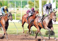  ?? KENYON HEMANS/PHOTOGRAPH­ER ?? The outstandin­g filly SHE’S A MANEATER (right), with Omar Walker aboard, powering away from rivals in the None Such Sprint at Caymanas Park yesterday.