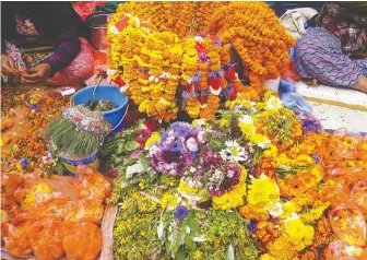  ?? VIOLET ST. CLAIR ?? Tangerine-coloured marigolds are offered for sale at a stand on the streets of Kathmandu.