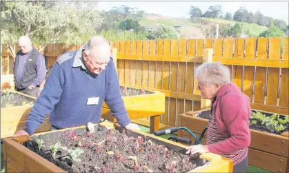  ??  ?? Volunteer Brian Gillespie and resident Helen Mann admiring one of the raised beds in Switzer’s Garden of Eden (with trustee Jack Rogers in the background, wondering why the seedlings are doing better than his).