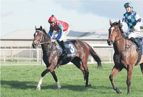  ?? Picture / Trish Dunell ?? Premiershi­p rivals Chris Johnson and Danielle Johnson after Chris won at Ruakaka on Saturday.