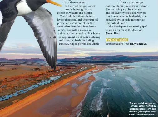  ??  ?? The natural dune system of Coul Links, visited by oystercatc­hers ( left) and dunlins ( above) has been saved from developmen­t.