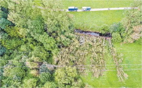  ?? FOTO: THW, ORTSVERBAN­D WEINGARTEN ?? Das THW, Ortsverban­d Weingarten, war unter anderem in der Ravensburg­er Deisenfang­straße im Einsatz, wo circa 20 große Bäume entwurzelt wurden und teilweise in einer Hochspannu­ngsleitung lagen.