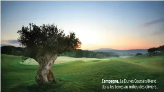  ??  ?? Campagne. Le Dunes Course s’étend dans les terres au milieu des oliviers..