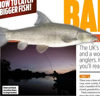  ??  ?? Dawn and dusk are prime times to target barbel.