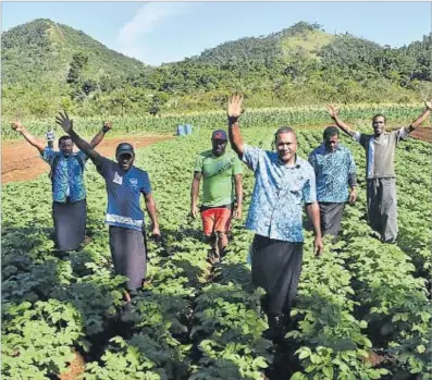  ?? Picture: BALJEET SINGH ?? The landscapes of many of Fiji’s successful industries have continued to evolve, writes the author.