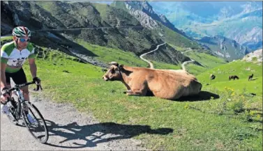  ??  ?? PAISAJE. Así son las curvas de La Cubilla, un paraíso explotado durante años por el cicloturis­mo en Asturias.