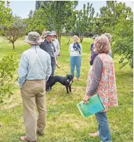  ?? ?? A tour of properties visited is part of meetings held by branches of the NZ Tree Crops Associatio­n.