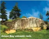  ??  ?? Anson Bay volcanic rock.