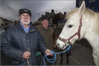  ?? Photo by John Reidy ?? Castleisla­nd native, Tralee resident, Eddie Hayes (left) with Martin O’Halloran from Kilflynn at the 2016 November 1st fair.