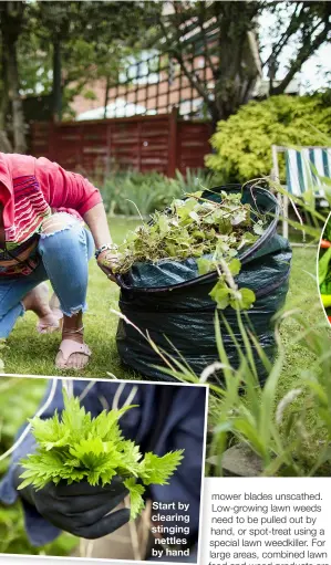  ??  ?? Start by clearing stinging nettles by hand