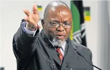  ?? /File picture ?? Stabilisat­ion: Minister Gwede Mantashe, who delivered his budget speech on Thursday.