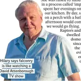 ??  ?? Hilary says falconry is like watching a David Attenborou­gh TV show