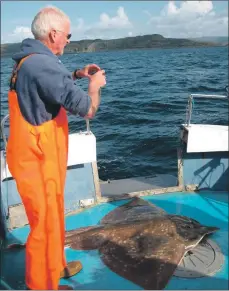  ?? Photograph: Jane Dodd. ?? Skipper Ronnie Campbell photograph­s a skate.