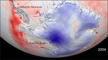  ?? ISITHOMBE NGABE: COOLANTARC­TICA.COM ?? ZININGI izimfihlo okuthiwa ziqukethwe yi-Antarctica.