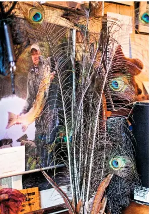  ??  ?? Peacock feathers used for Jean’s flies fan out in front of one of her many photograph­s of people who have caught fish using her creations.