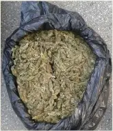  ??  ?? Cannabis worth R25 000 was confiscate­d from a bus on 6 October.