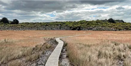  ??  ?? The Catlins is full of curious characters and tall tales.