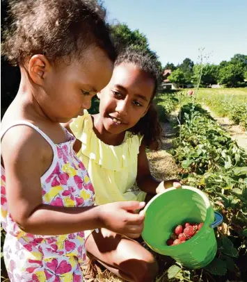  ?? Foto: Bernhard Weizenegge­r ?? Wo sind denn die ganzen Erdbeeren? Das scheinen sich auch Amie und Muna (von links) bei Friedberg gefragt haben. Immerhin hatte die Plantage dort gestern noch geöffnet. Das ist längst nicht mehr überall der Fall.