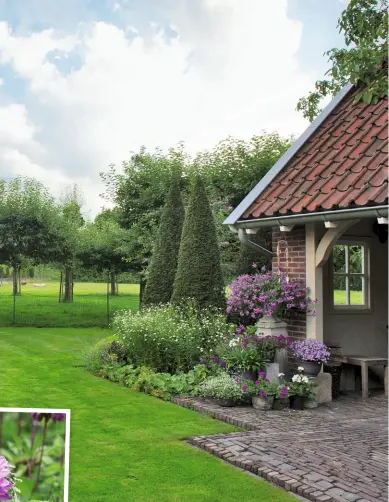  ??  ?? LANDIDYLLE Der alte Teil des Gartens grenzt an eine weitläufig­e Streuobstw­iese (rechts). ZAUBERHAFT Typische Bauerngart­en-Pflanzen zieren das Gartenhaus in unzähligen Kübeln und Gefäßen (unten).