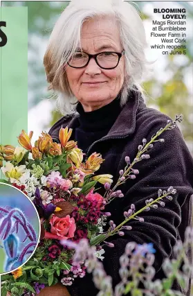  ??  ?? blooming lovely: Mags Riordan at Bumblebee Flower Farm in West Cork which reopens on June 5