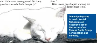  ??  ?? Om enige bydraes te maak, kontak Natureza’s op Facebook asook Natureza’s Catz Rescue Sabie Group For Donation and Funding.