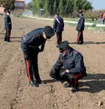  ??  ?? Le ricerche I carabinier­i sul luogo del ritrovamen­to dei resti umani, in un campo nel Veronese (foto Sartori)