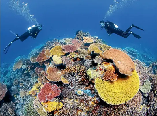  ??  ?? Contrary to recent reports, the Great Barrier Reef is not dying.