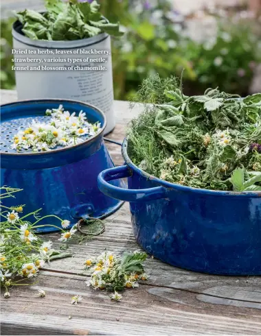  ??  ?? Dried tea herbs, leaves of blackberry, strawberry, varioius types of nettle, fennel and blossoms of chamomile.