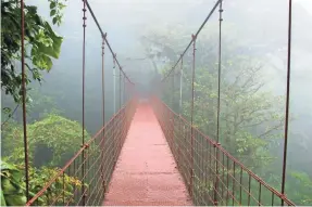  ??  ?? The Monteverde Cloud Forest Reserve is renowned for its conservati­on and preservati­on efforts.